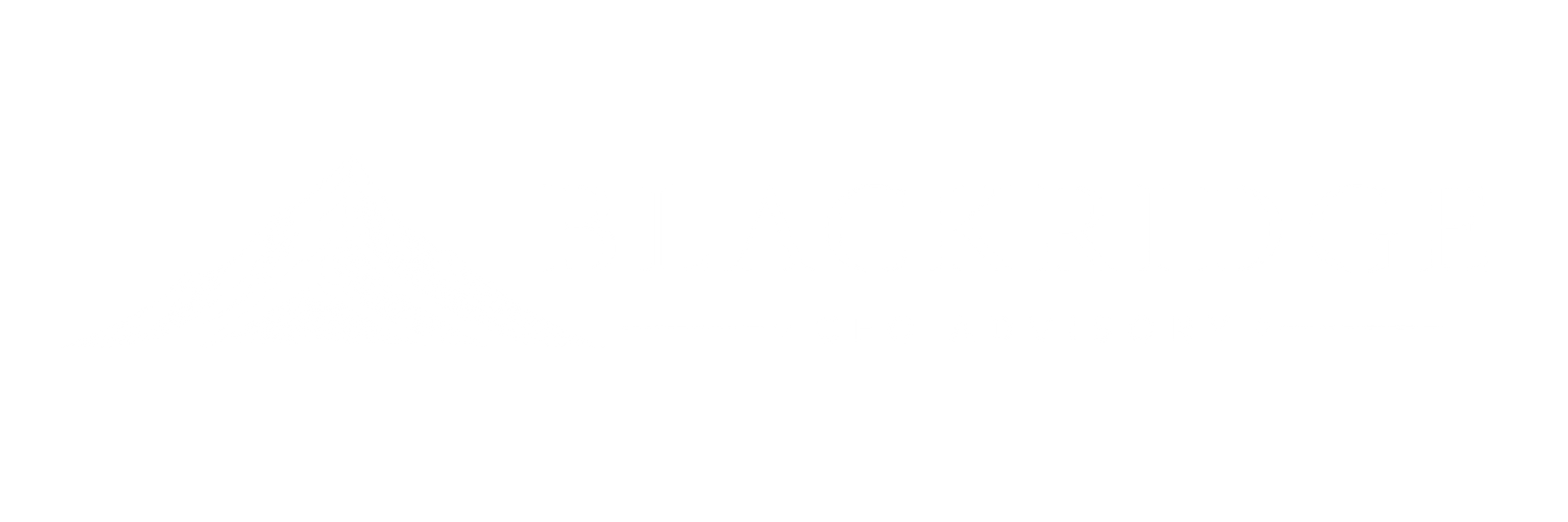 Blackridge CFO Advisory